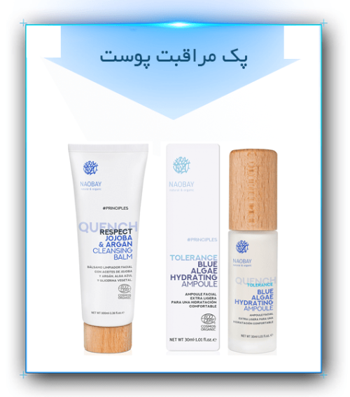 پک مراقبت پوست‌های معمولی تا خشک نائوبی1