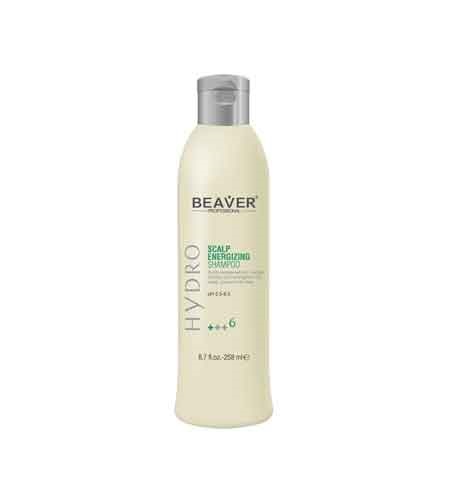 شامپو انرژی زینک بیور